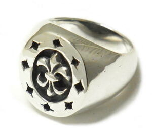 �t���A�E�T�[�N�����f�U�C�������O[sr0116]