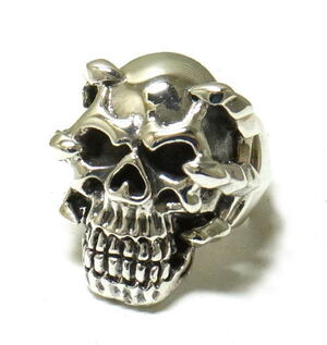 �G�C���A���E�X�J���E�����O[sr0138]