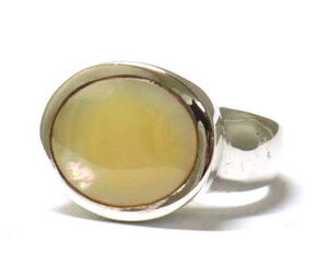 �C�G���[�V�F���̃����O�@11.5��[SR0066]