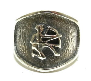 �ˎ�̃f�U�C�������O�@18��[sr0165]