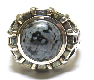 �X�m�[�t���[�N�E�I�u�V�f�B�A���E�X�g�[�������O�@17��[SR0351]