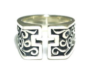 �A���x�X�N�E�N���X�����O[sr0123]