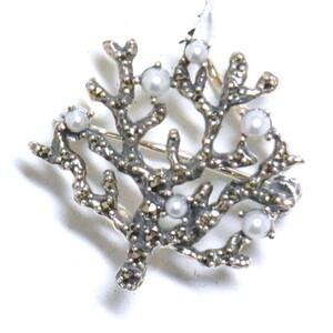 �y��R�z�X��̖؂̃V�[�h�p�[���@�y���_���g�u���[�`[204C1189]